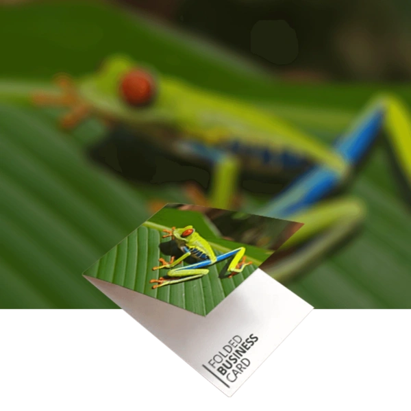 Folded Business Cards Product Image